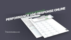 Check Website Performance and Response Online