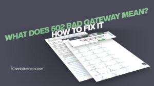 What Does 502 Bad Gateway Mean How to Fix It